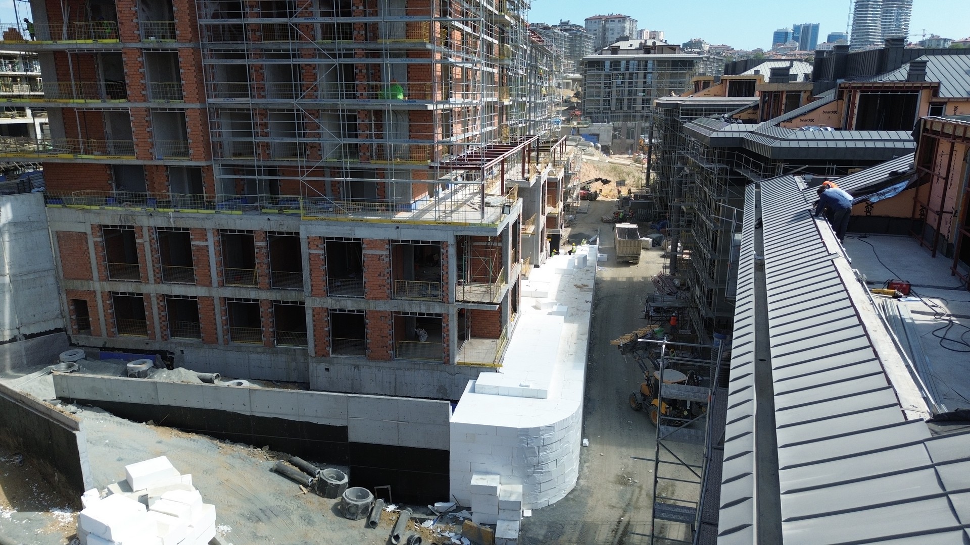 DCIM100MEDIADJI 0815.JPG